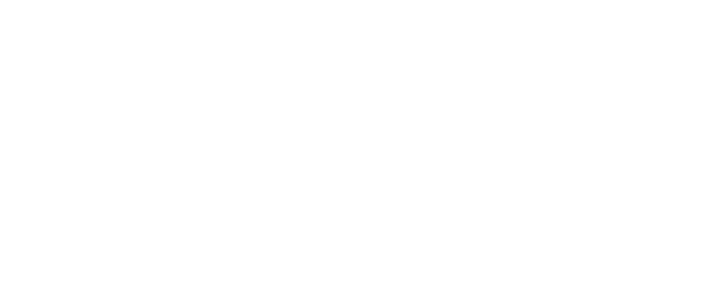 55 Logo